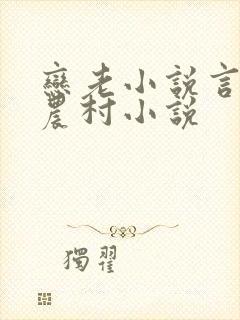 恋老小说言情网农村小说