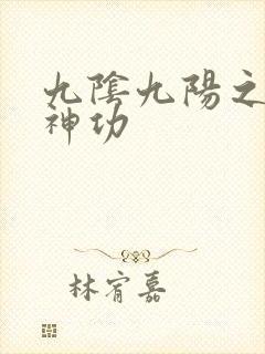 九阴九阳之阴阳神功
