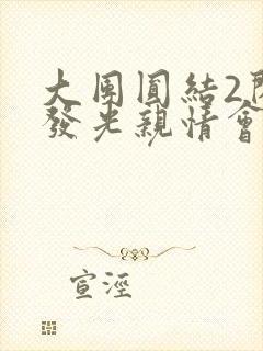 大团圆结2闪闪发光亲情会