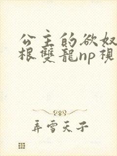 公主的欲奴h四根双龙np视频