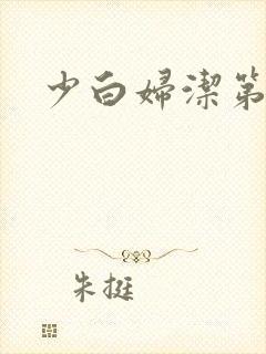 少白妇洁第二部封面