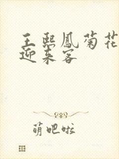 王熙凤菊花门初迎来客