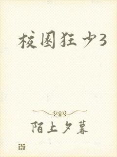 校园狂少3封面