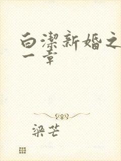白洁新婚之夜第一章