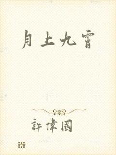 月上九霄封面
