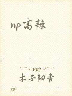 np高辣