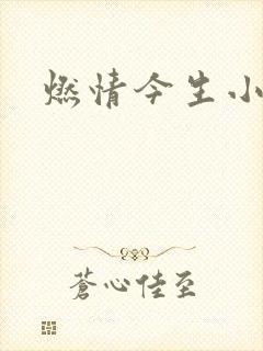 燃情今生小说封面
