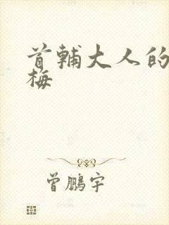 首辅大人的小青梅封面