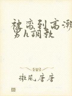 被脔到高潮的直男h调教封面