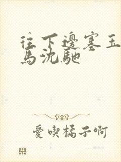 往下边塞玉器骑马沈驰封面