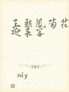 王熙凤菊花门初迎来客