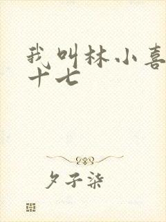 我叫林小喜今年十七