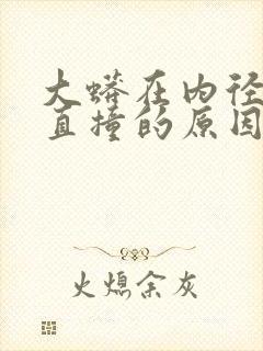 大蟒在内径横冲直撞的原因封面