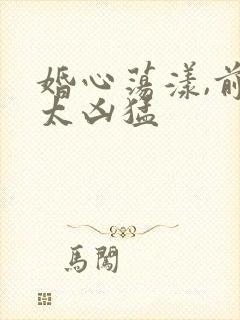 婚心荡漾,前夫太凶猛