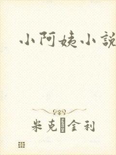 小阿姨小说封面