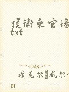 侯卫东官场笔记txt封面