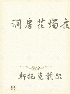 洞房花烛夜小说