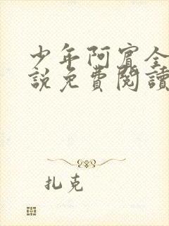 少年阿宾全文小说免费阅读笔趣阁