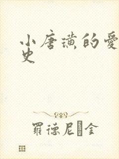 小唐璜的爱情历史