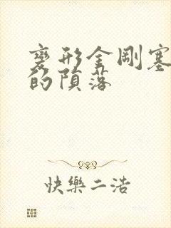 变形金刚塞伯坦的陨落封面