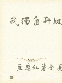 我独自升级小说封面