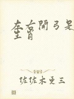 左右开弓是什么生肖封面