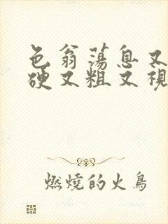 色翁荡息又大又硬又粗又视频图片封面