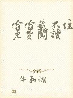 偷偷藏不住小说免费阅读