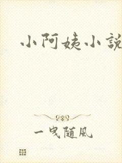 小阿姨小说