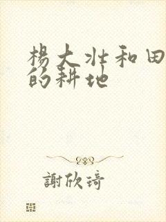 杨大壮和田桂花的耕地