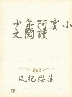 少年阿宾小说全文阅读