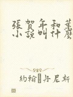 张贺年和叶繁姿小说叫什么名字