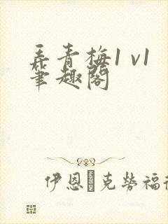 弄青梅1 v1笔趣阁