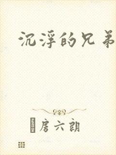 沉浮的兄弟封面