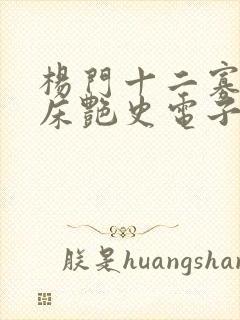 杨门十二寡妇肉床艳史电子书