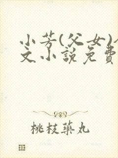 小芳(父女)全文小说免费阅读封面
