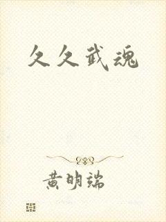 久久武魂封面