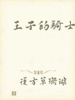 王子的骑士