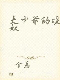 大少爷的暖床小奴