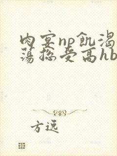 肉宴np饥渴放荡总受高hbl