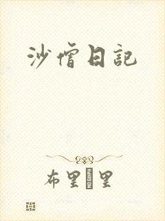 沙僧日记封面