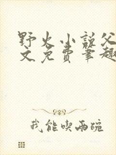 野火小说父女全文免费笔趣阁封面