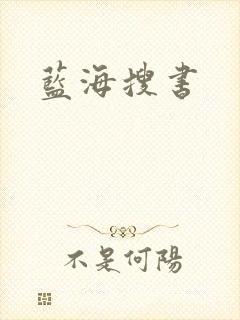 蓝海搜书封面