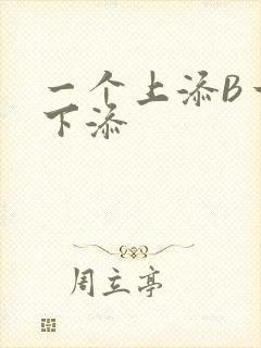 一个上添B一个下添