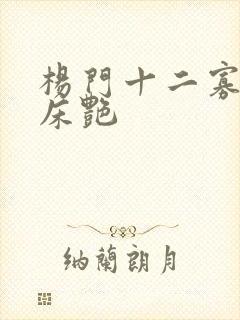 杨门十二寡妇肉床艳