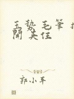 玉势 毛笔 撑开 夹住封面