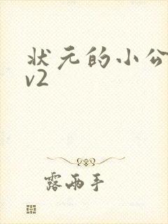 状元的小公主1v2封面