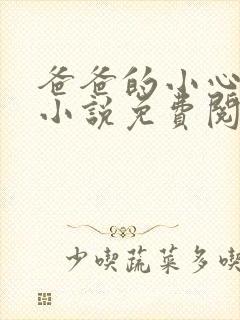 爸爸的小心肝儿小说免费阅读封面