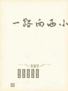 一路向西小说