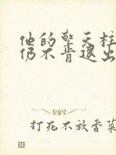 他的擎天柱巨龙仍不肯退出